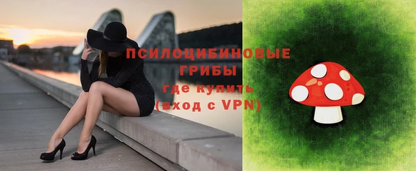бошки Каменск-Шахтинский