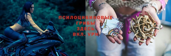 соль ск Каменка