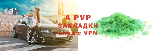 стафф Касимов
