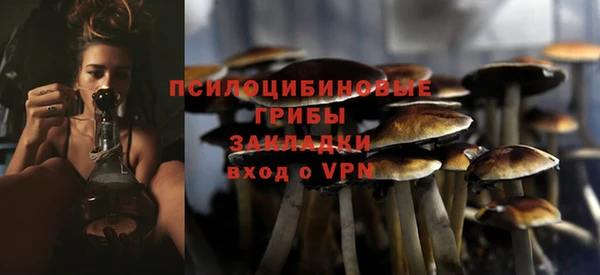 стафф Касимов