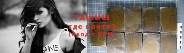 стафф Касимов