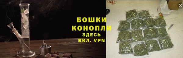 стафф Касимов