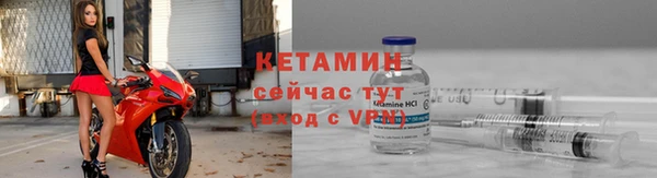 стафф Касимов