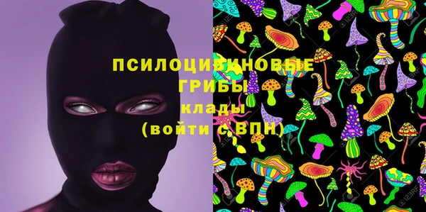 стафф Касимов