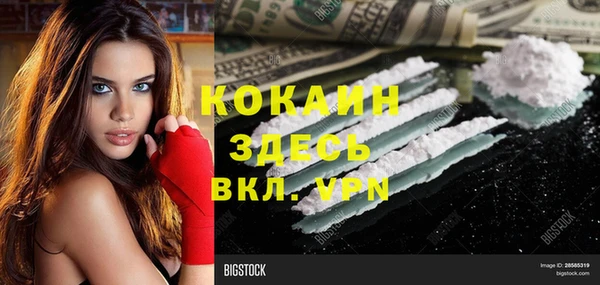 стафф Касимов