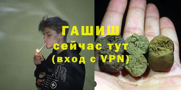 стафф Касимов